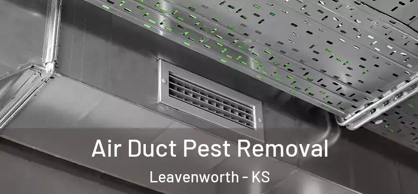 Air Duct Pest Removal Leavenworth - KS