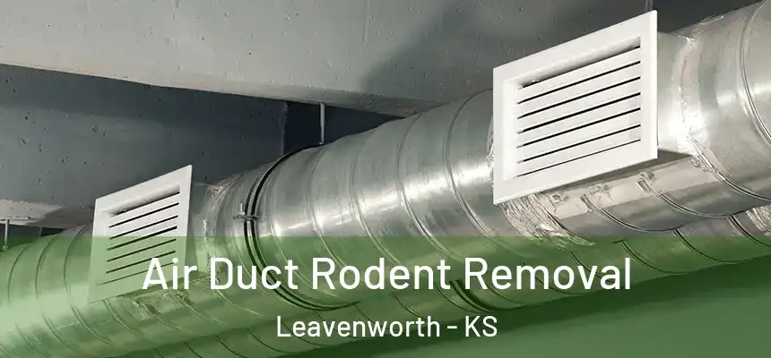 Air Duct Rodent Removal Leavenworth - KS