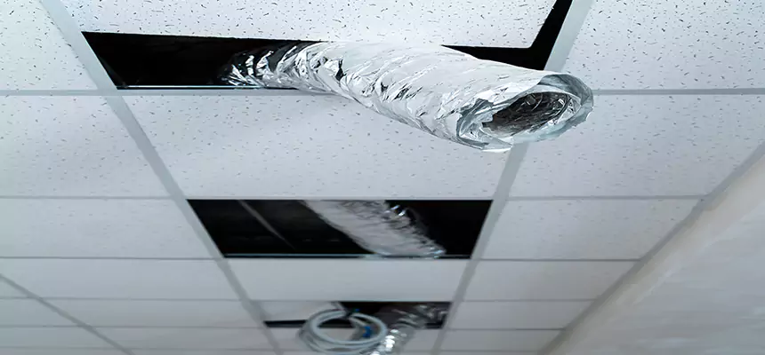 Our Air Duct Pet Hair Removal Services in Leavenworth, KS