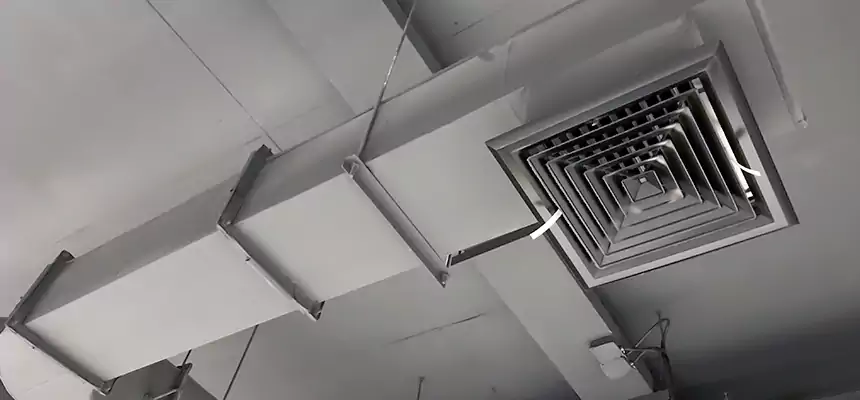 Our Pest Removal From Ducts Services in Leavenworth, KS