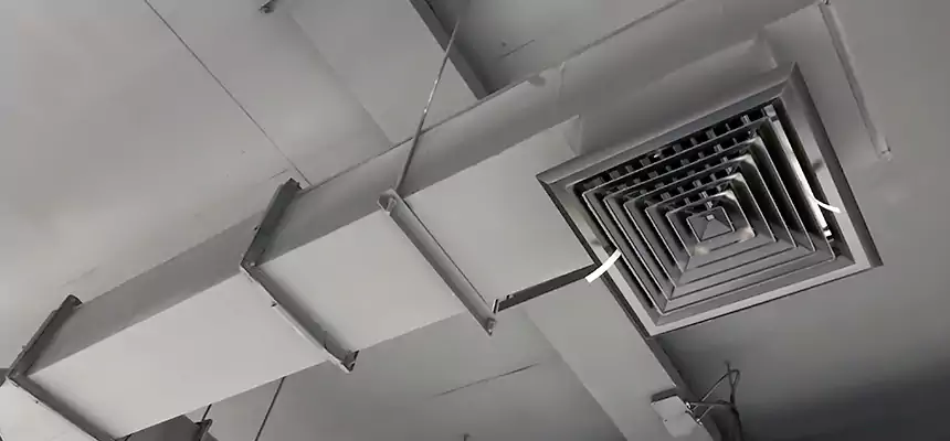 Our Rodent Droppings In Vents Services in Leavenworth, KS