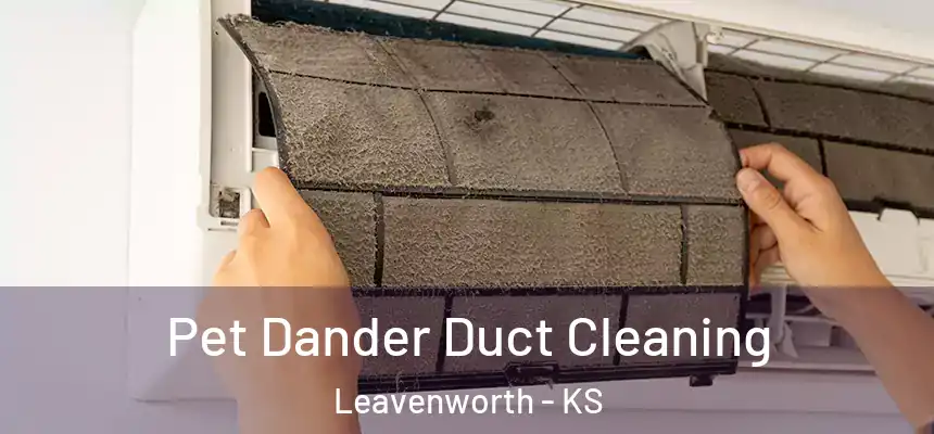 Pet Dander Duct Cleaning Leavenworth - KS