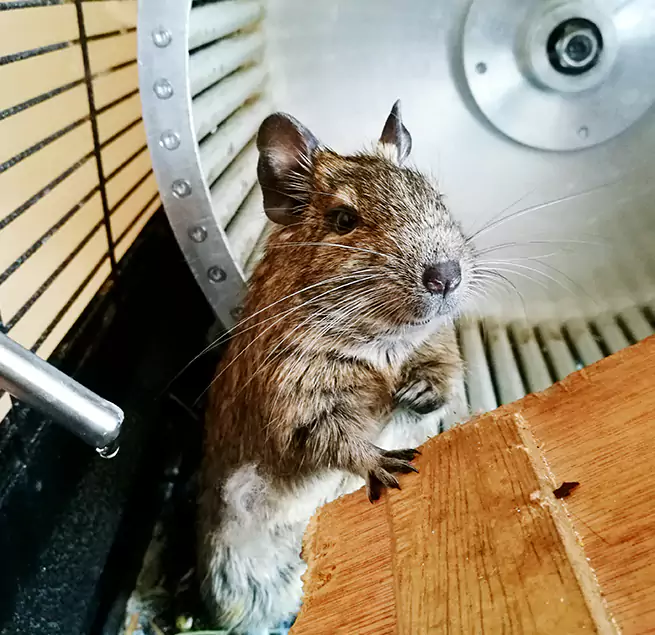 Why Homeowners & Businesses Trust Us Leavenworth, KS